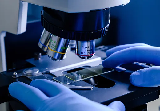 A close-up of a microscope with hands in blue gloves adjusting a slide.