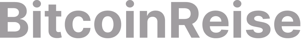 BitcoinReise Logo in Grau