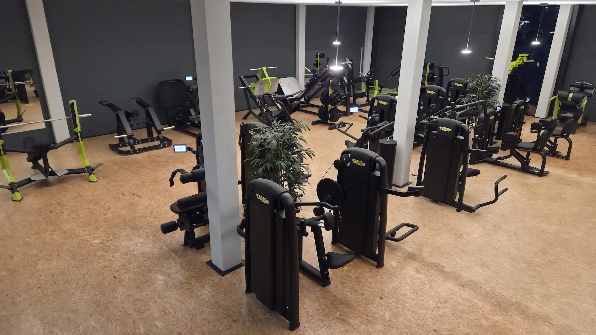 Innenansicht eines Fitnessstudios mit verschiedenen Krafttrainingsgeräten, Spiegeln und Pflanzen.