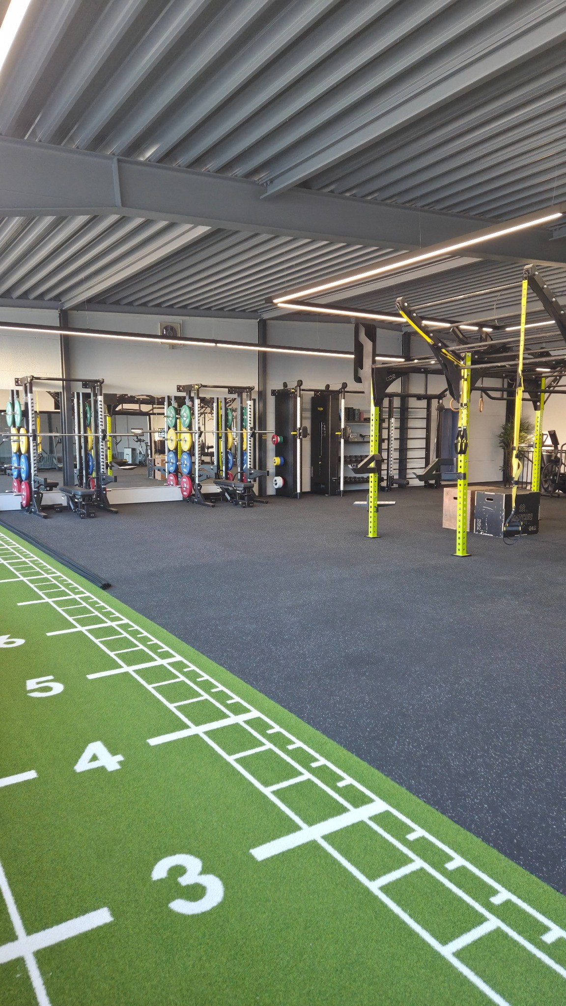 Moderner Fitnessraum mit farbigen Hantelscheiben, Klettergerüst und markiertem grünen Trainingsboden.