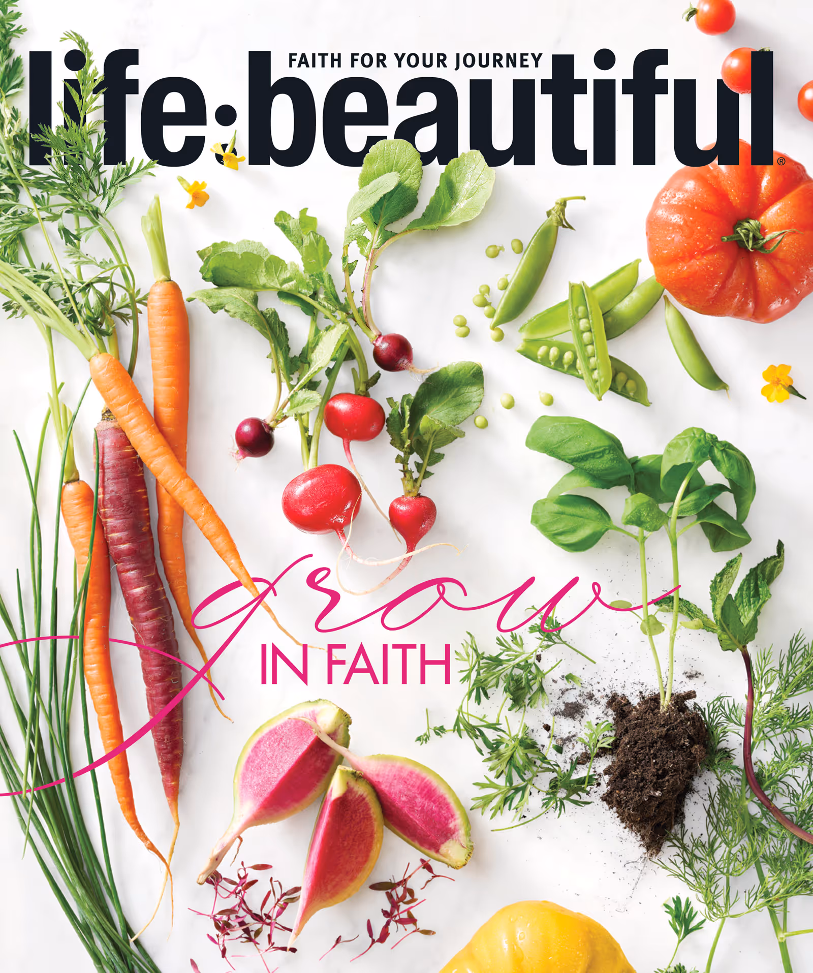 Cover of Life:Beautiful magazine featuring an assortment of fresh vegetables on a white background.