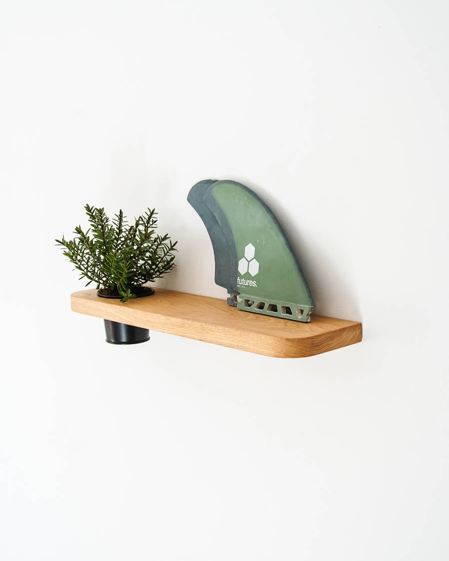Étagère flottante en bois pour pot de fleurs contenant une plante et de futurs ailerons jumeaux