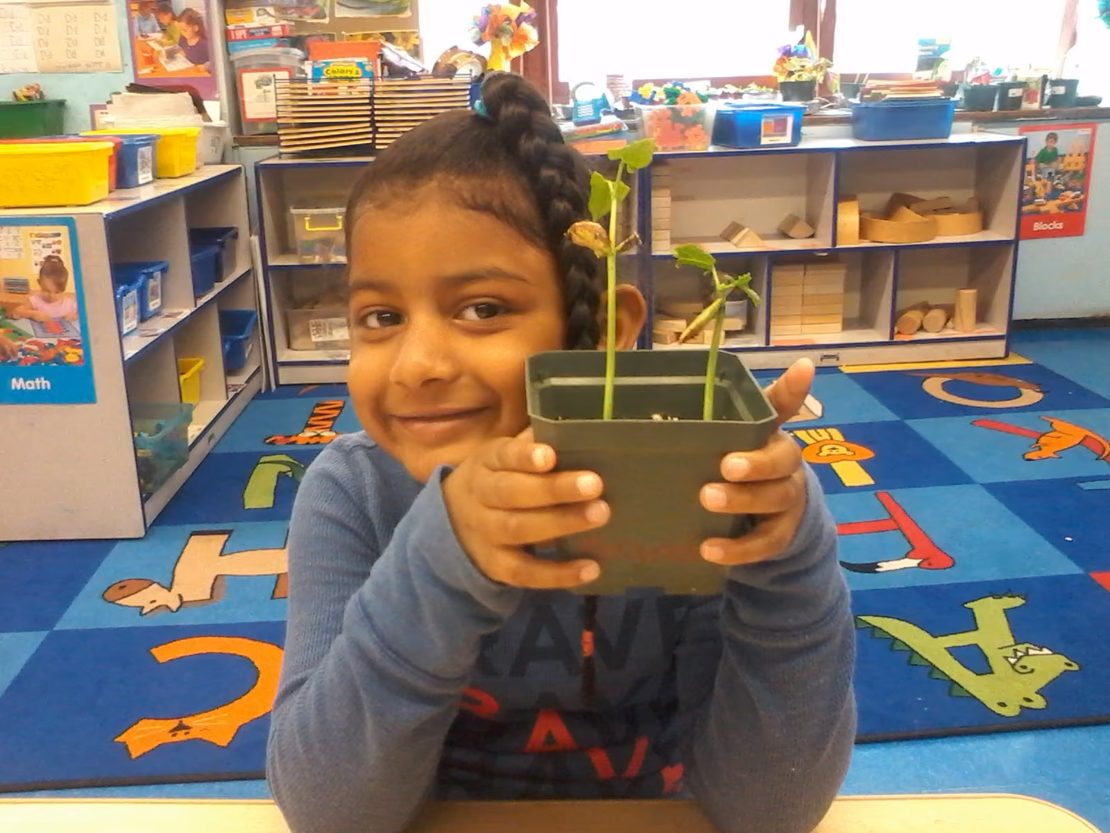 Student proudly holding a small plant seedling in classroom