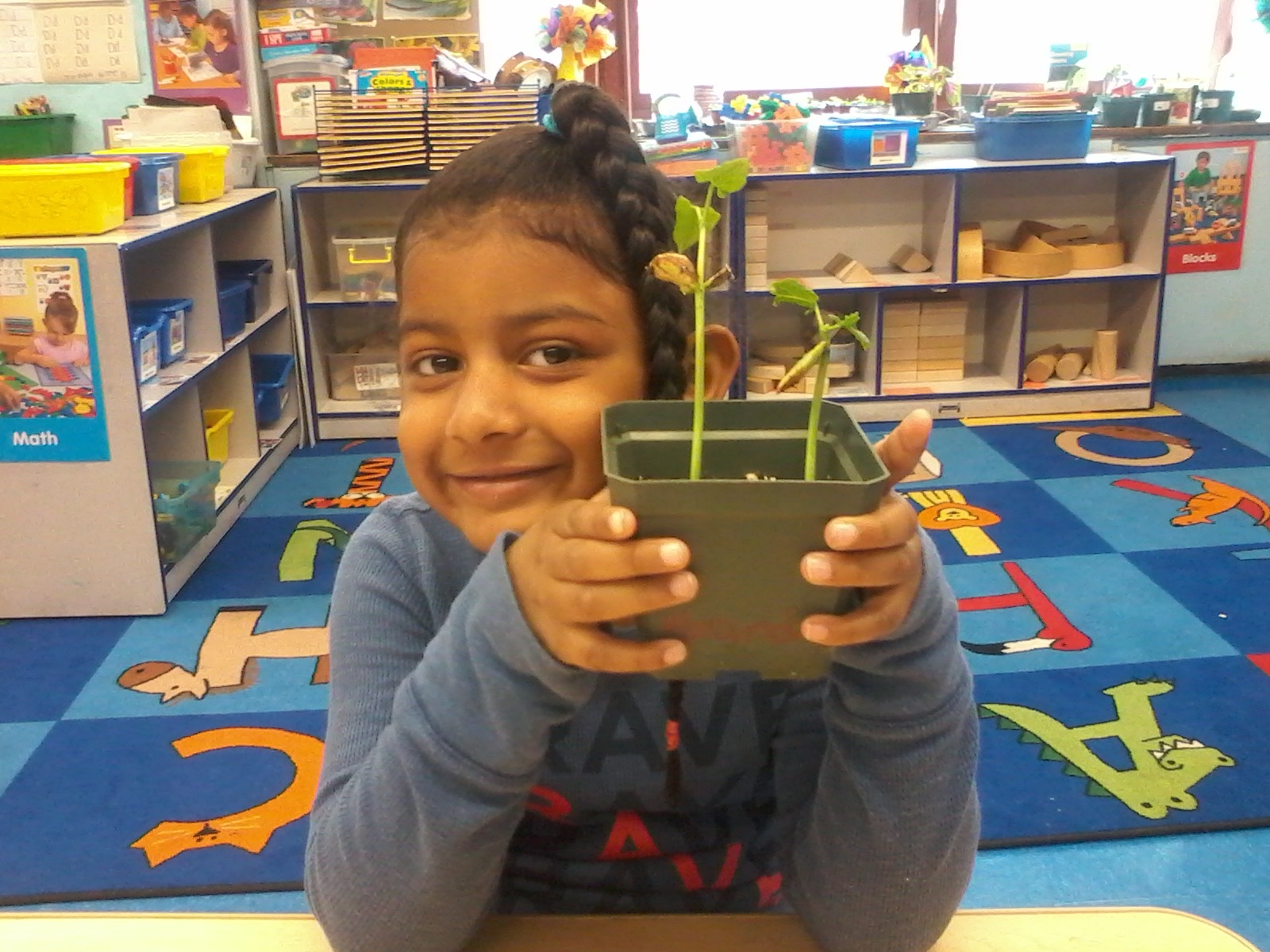 Student proudly holding a small plant seedling in classroom
