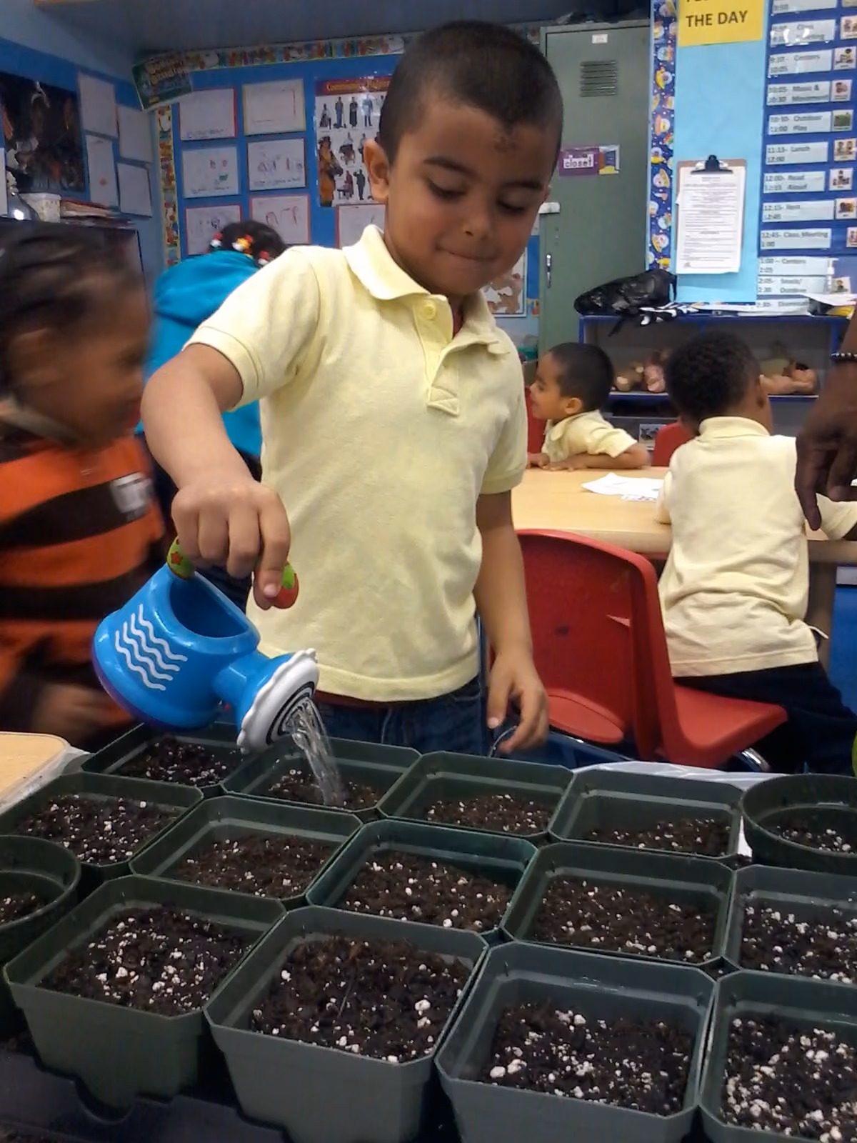Student watering seedling trays with blue watering can in classroom
