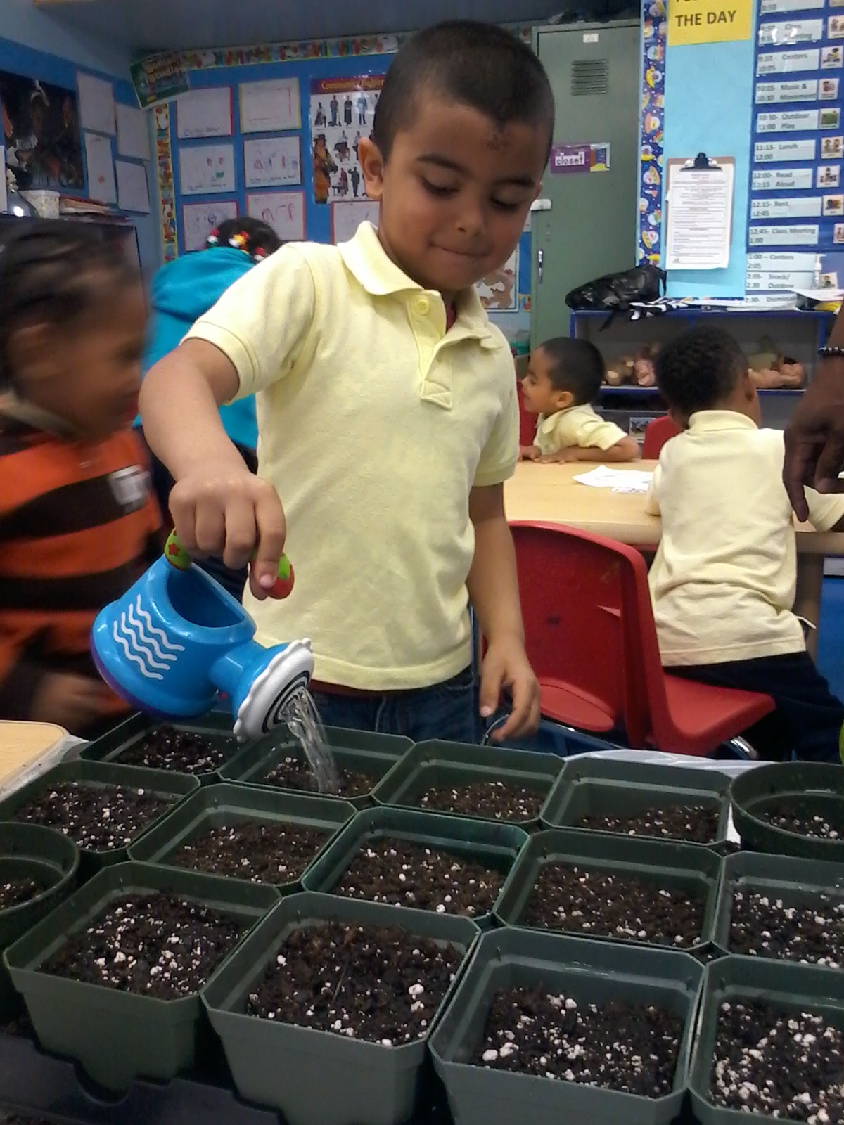 Student watering seedling trays with blue watering can in classroom