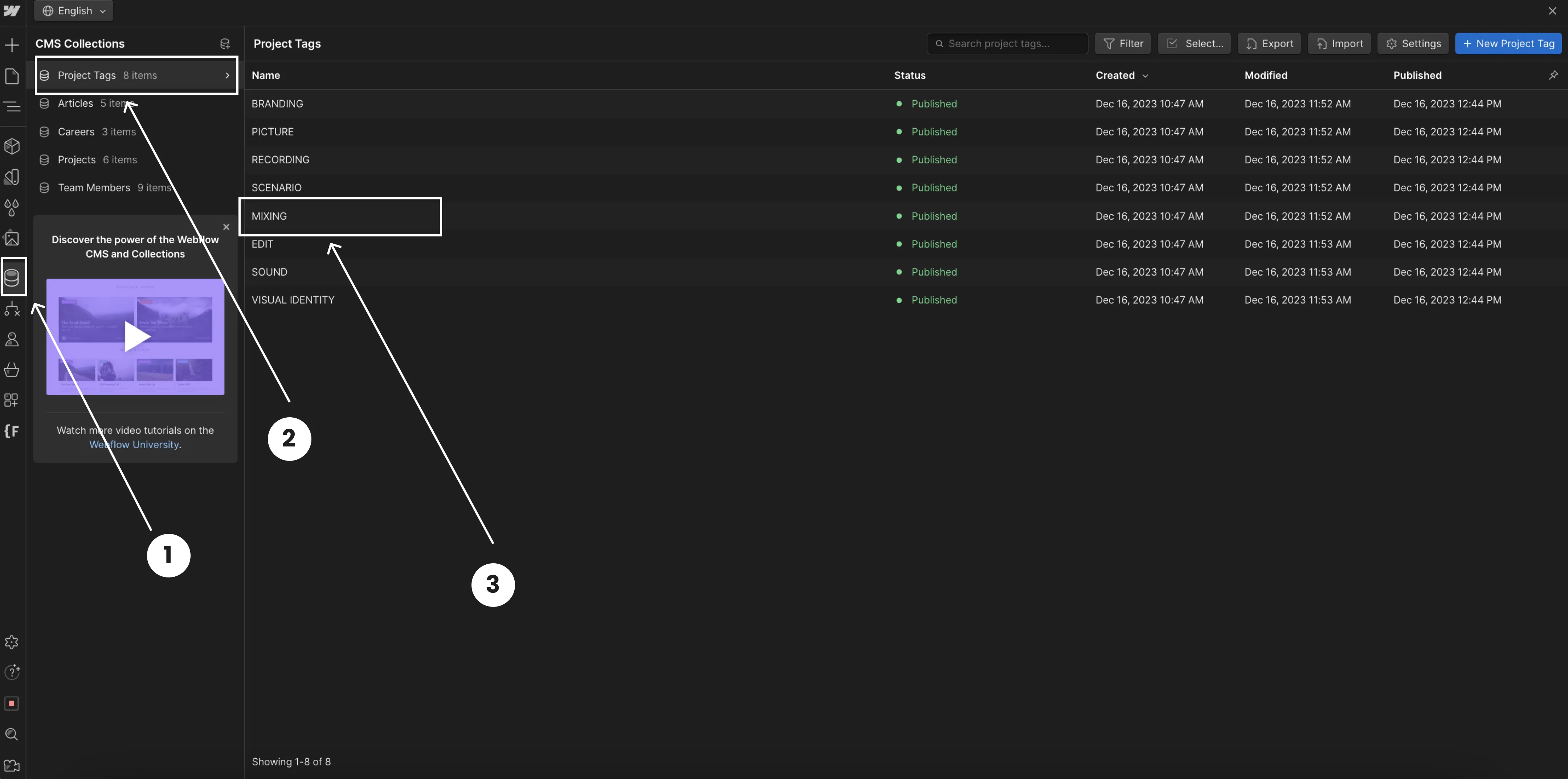Webflow CMS interface displaying Project Tags collection with eight tags listed including Branding, Picture, and Mixing, all marked Published with creation and modification dates.