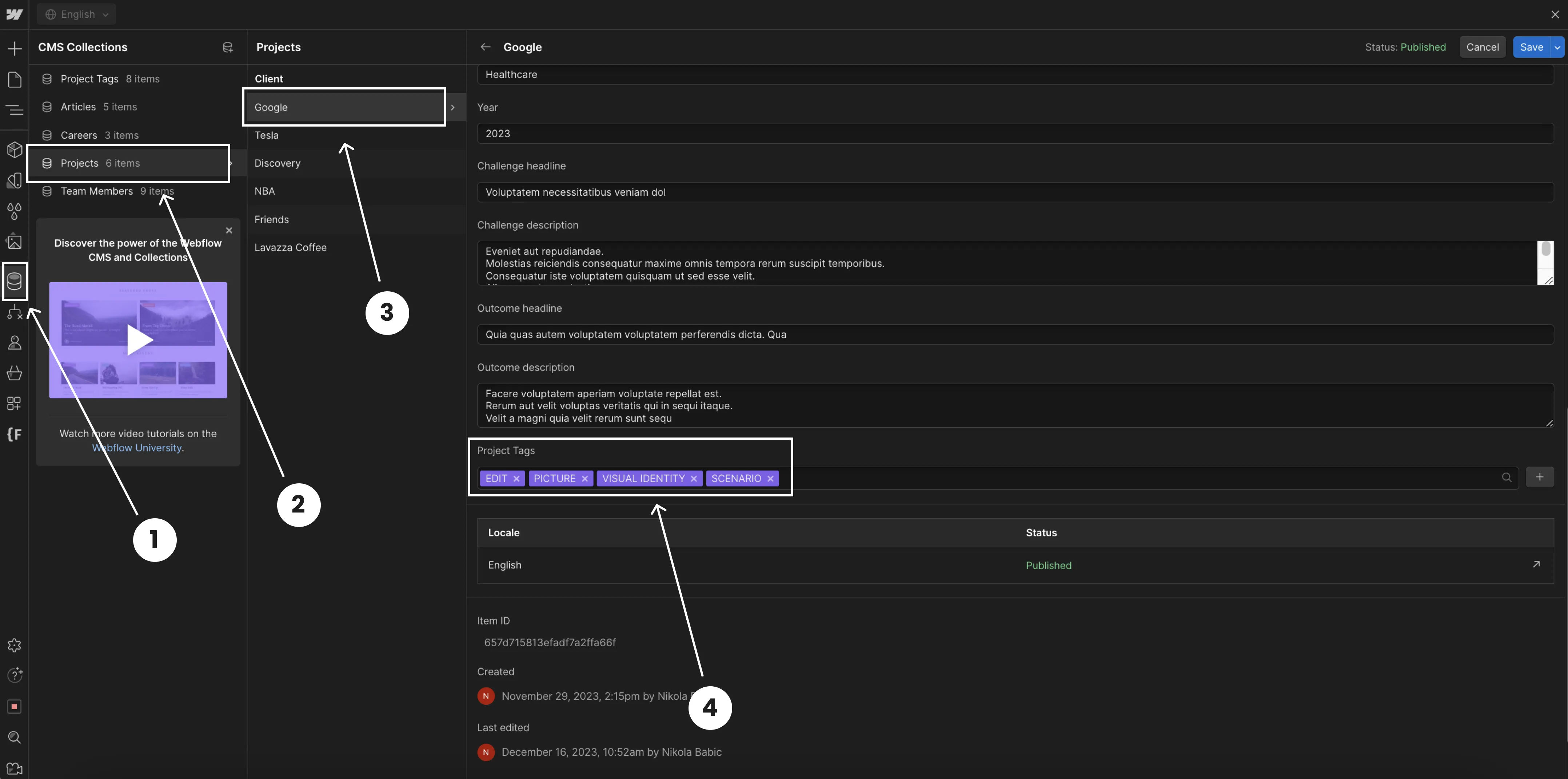 Webflow CMS dashboard with annotations highlighting the Projects collection, selected Google project, and project tags including Edit, Picture, Visual Identity, and Scenario.