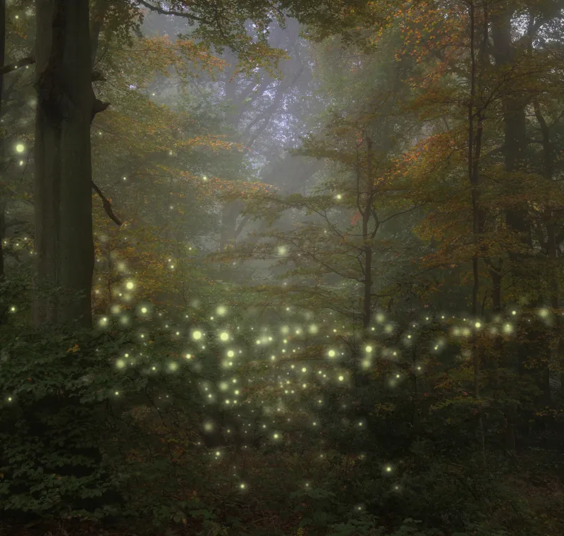 Guide to Biomes in Fantasy Worldbuilding