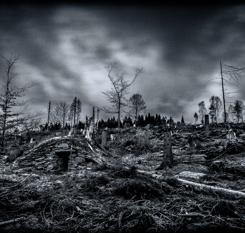 Worldbuilding an Apocalypse, Cataclysm or Disaster