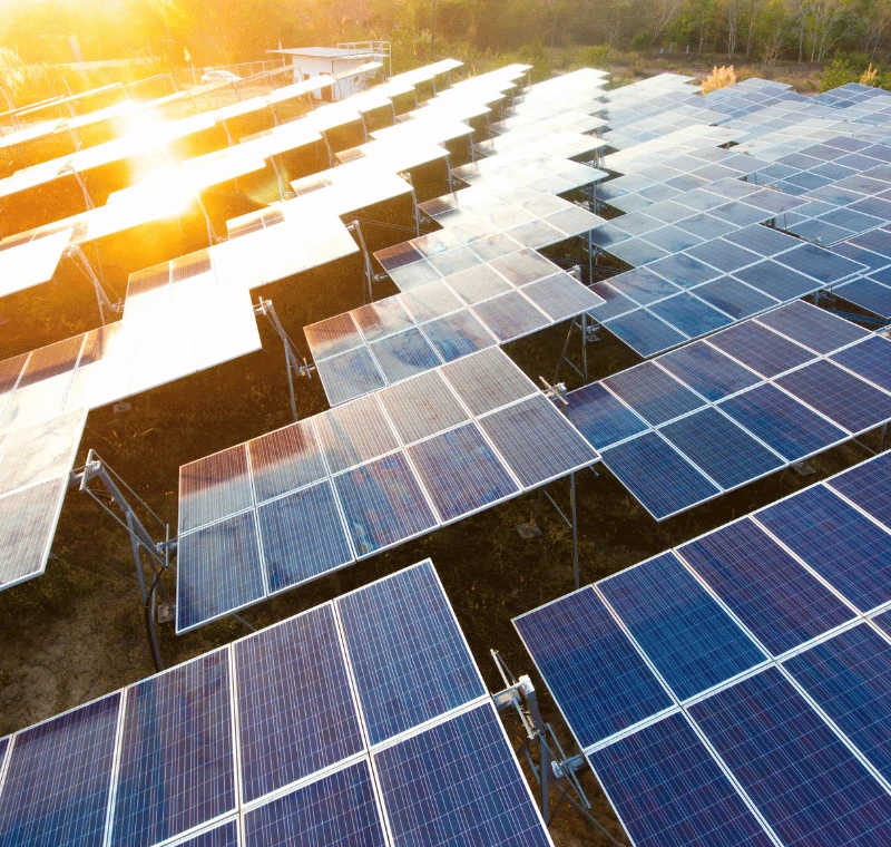 Solarpunk: the Most Exciting Genre You're Not Worldbuilding... Yet