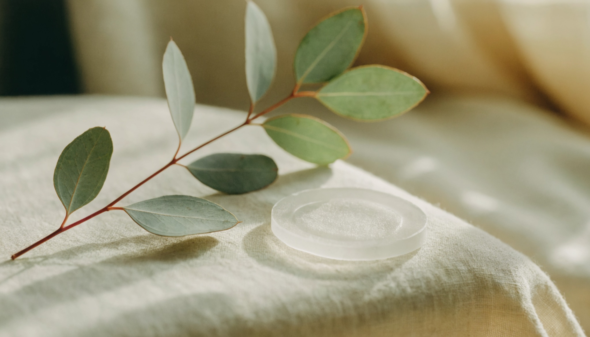 Transdermale pleister met een eucalyptustak op linnen, stilleven
