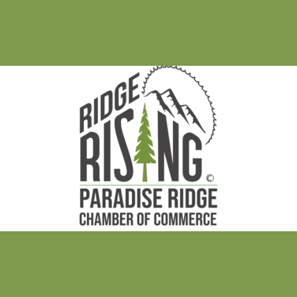 image of community engagement (for a food truck)