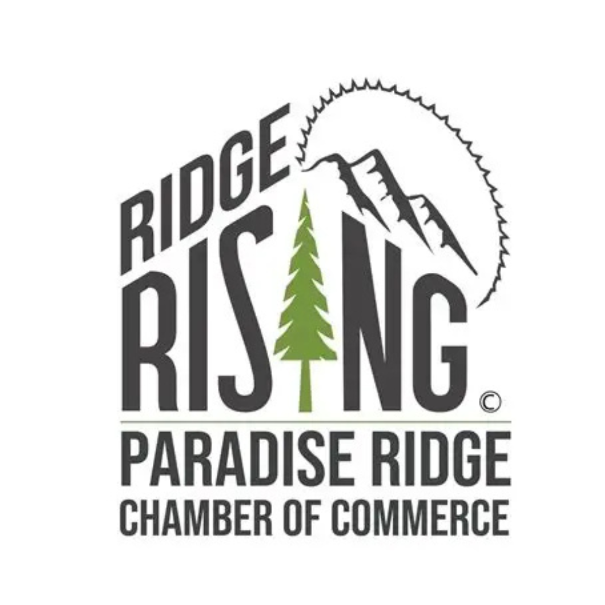 image of community engagement (for a food truck)