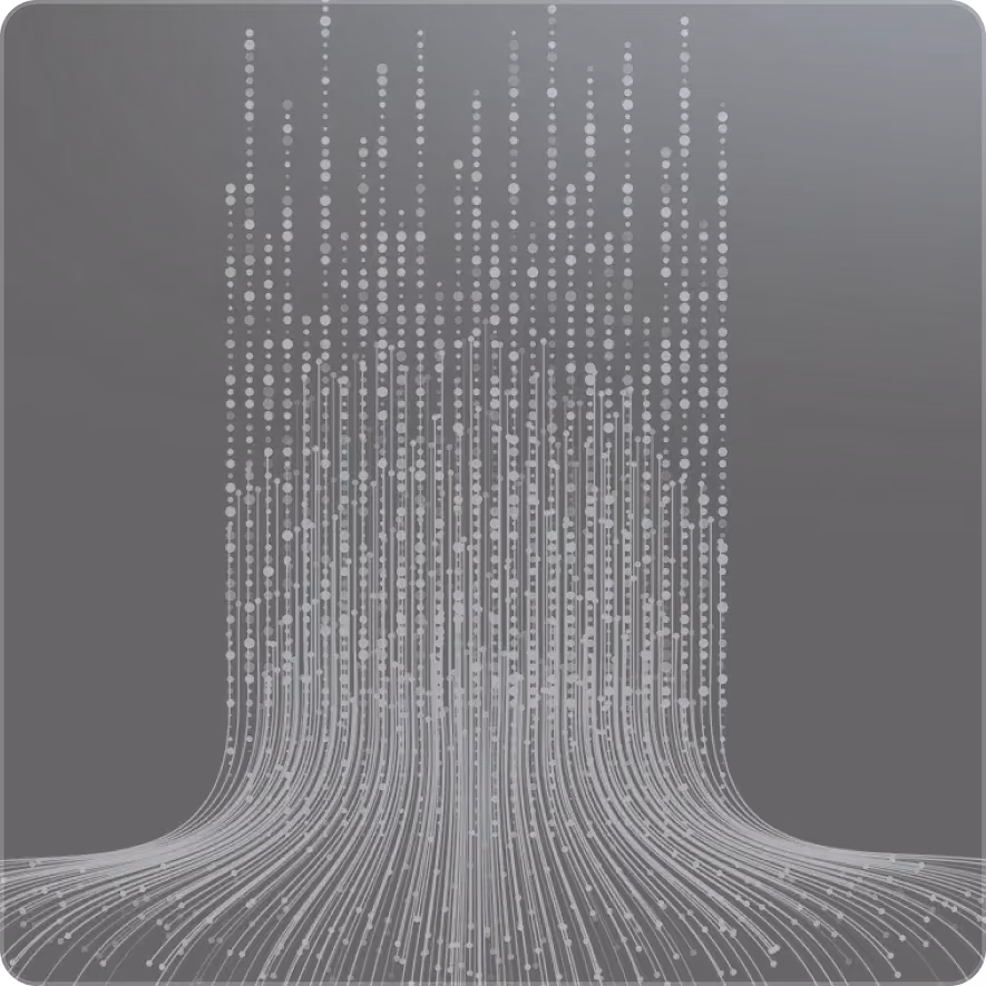 competitive programmers