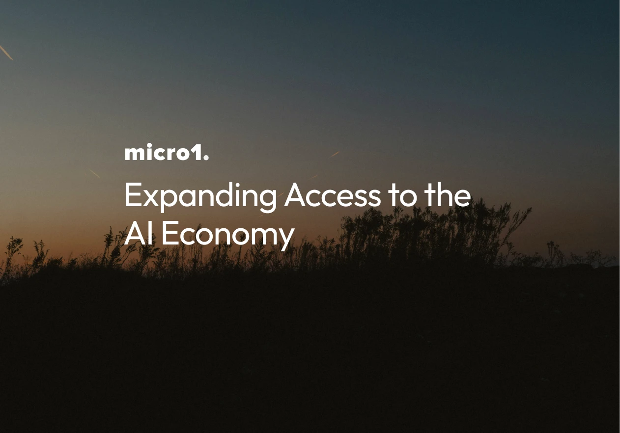 Expanding Access to the AI Economy