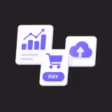 rapid mvp development