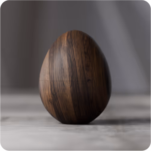 Picture of the Egg