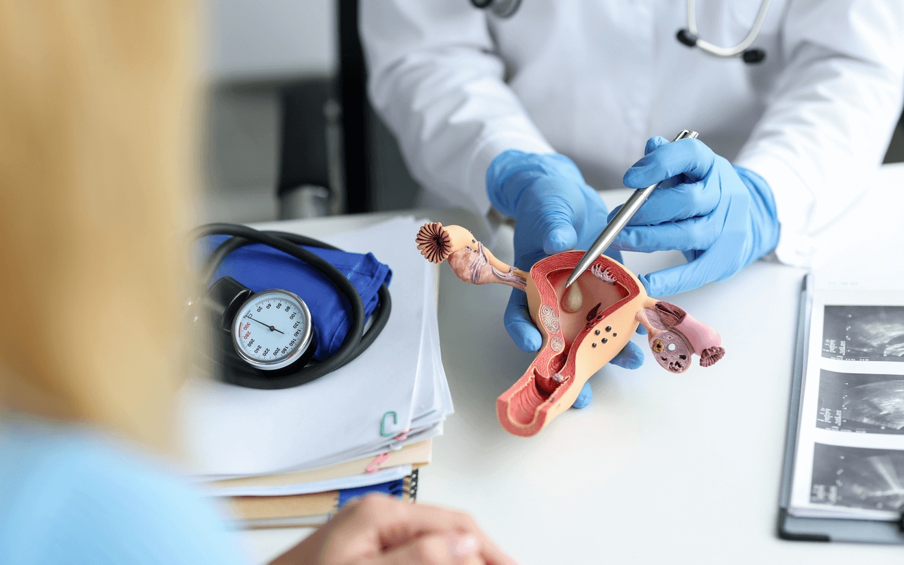 The best endometriosis surgeon for preserving fertility in Los Angeles uses a reproductive system model to explain the effects of endometriosis during a consultation.