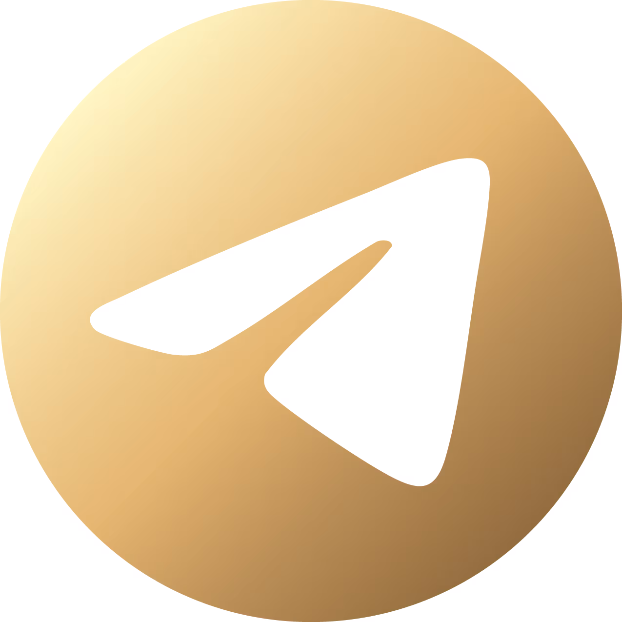 Telegram Logo