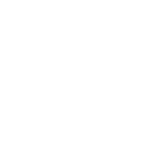 ahl Logo