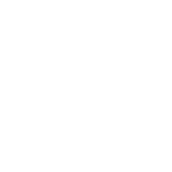 Hawaii International Film Festival Logo