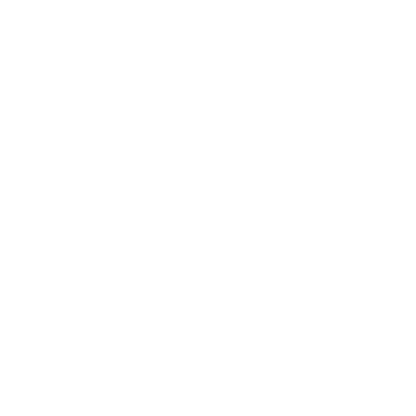 Stupski Foundation Logo
