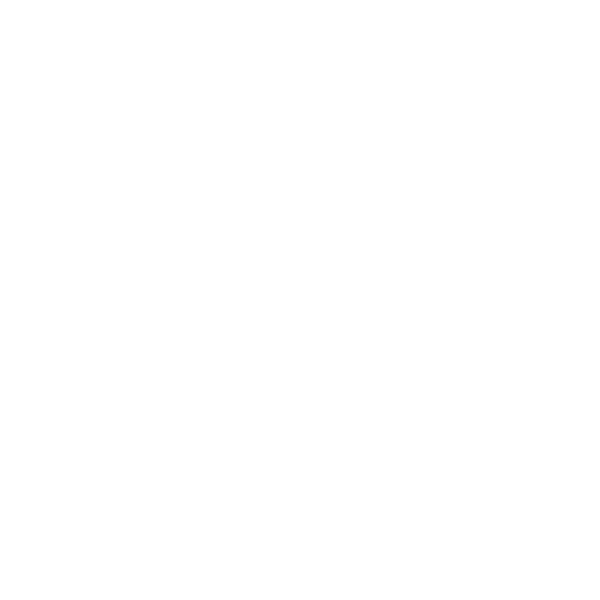 Cades Schutte logo