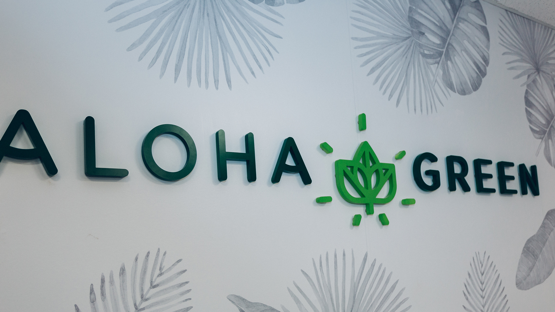 Brand identity, print collateral, and marketing materials designed for Aloha Green Apothecary.