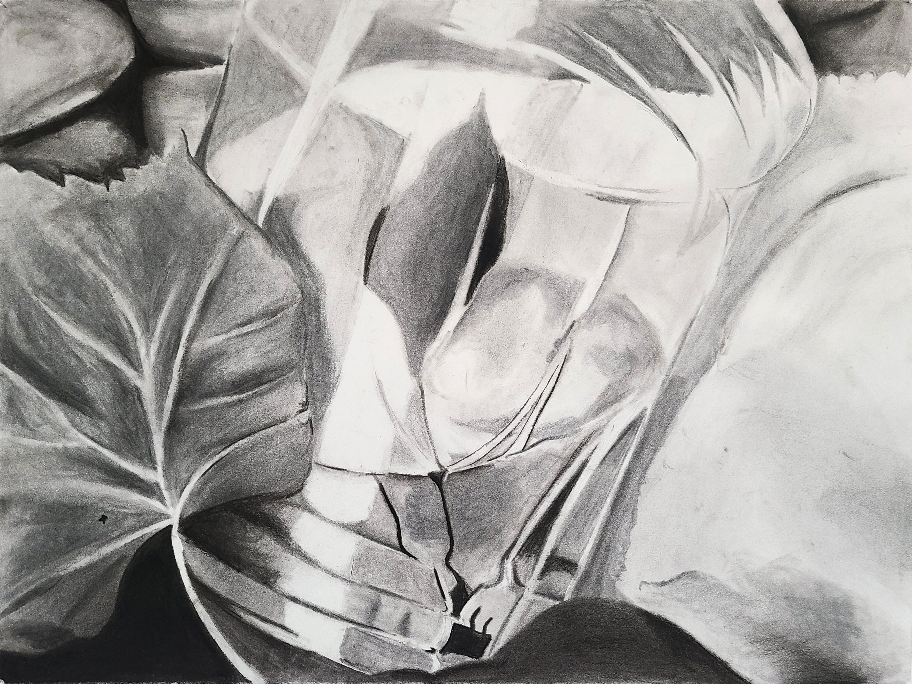 Still Life With Water