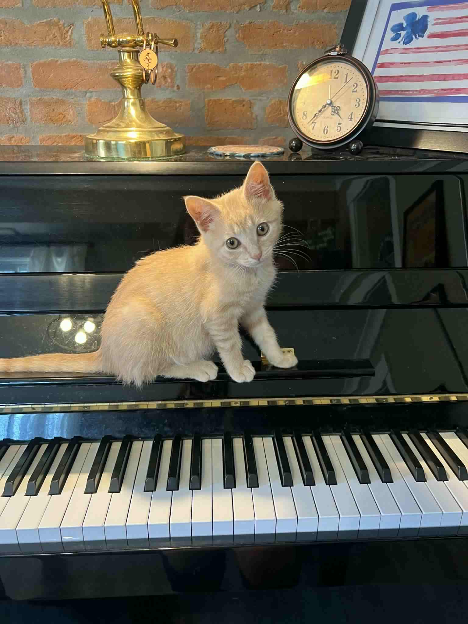 a boy at the piano with a black dog laying at feet