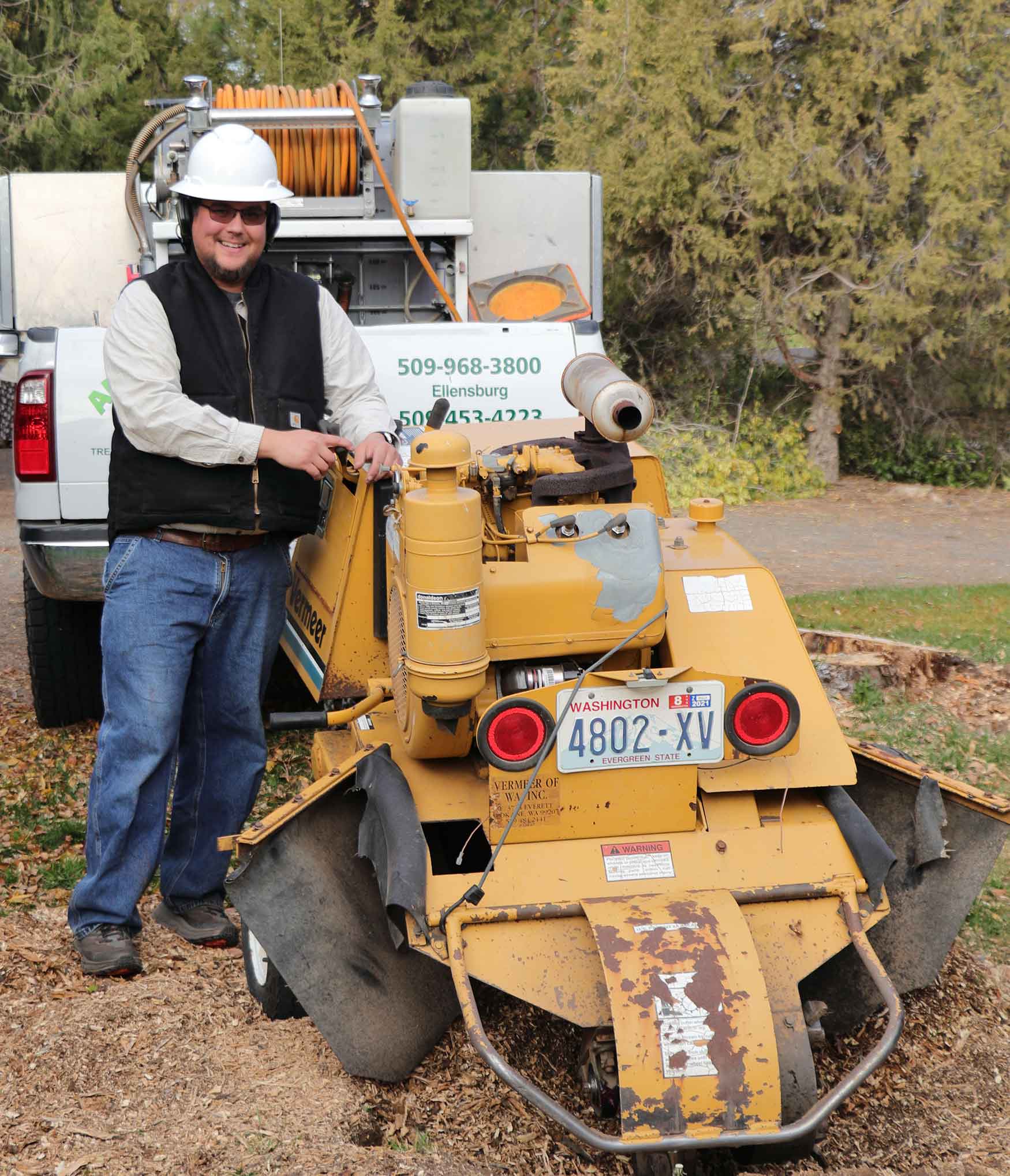 Stump Grinding & Treatment