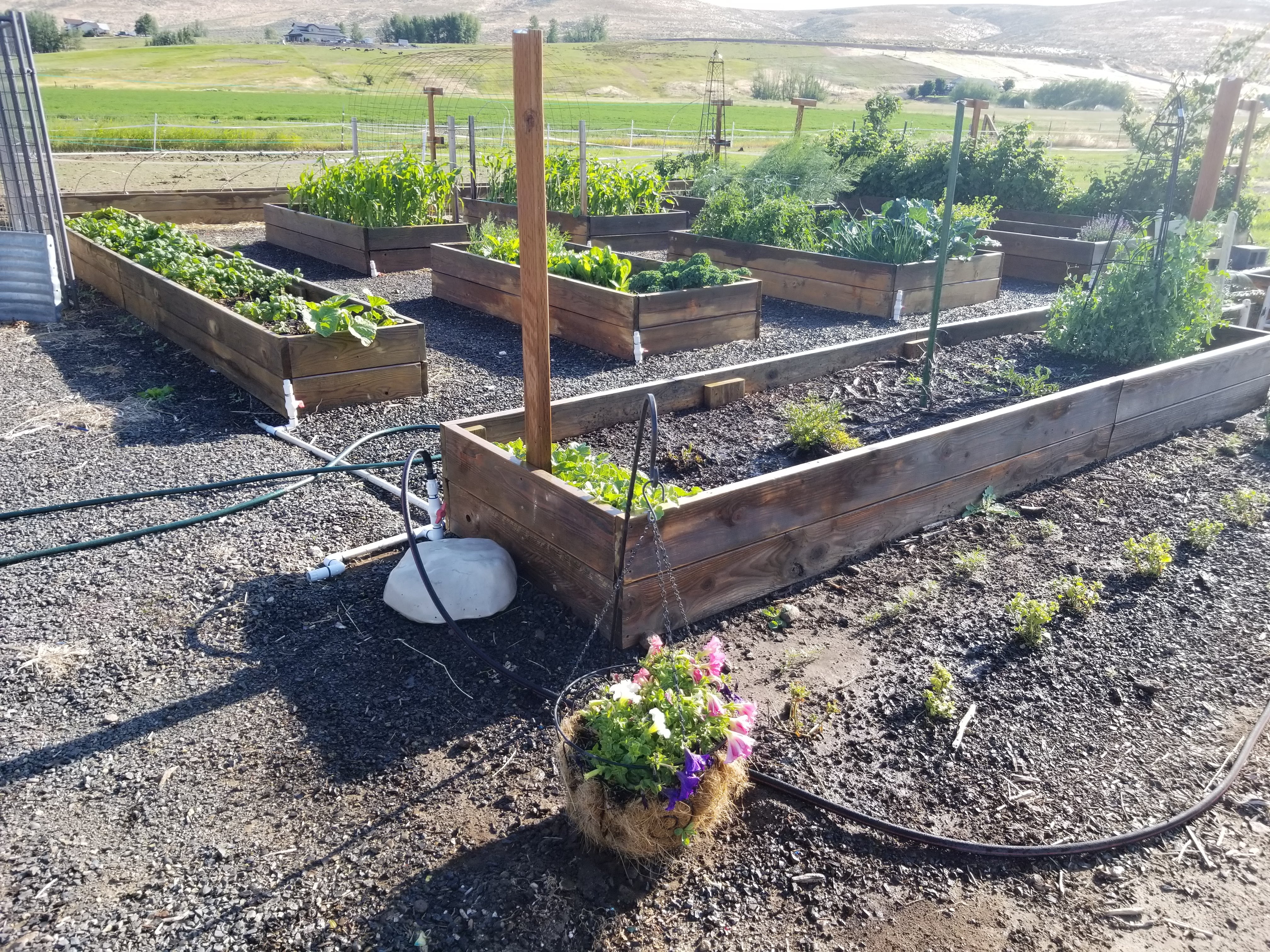 Landscape Bed Weed Control