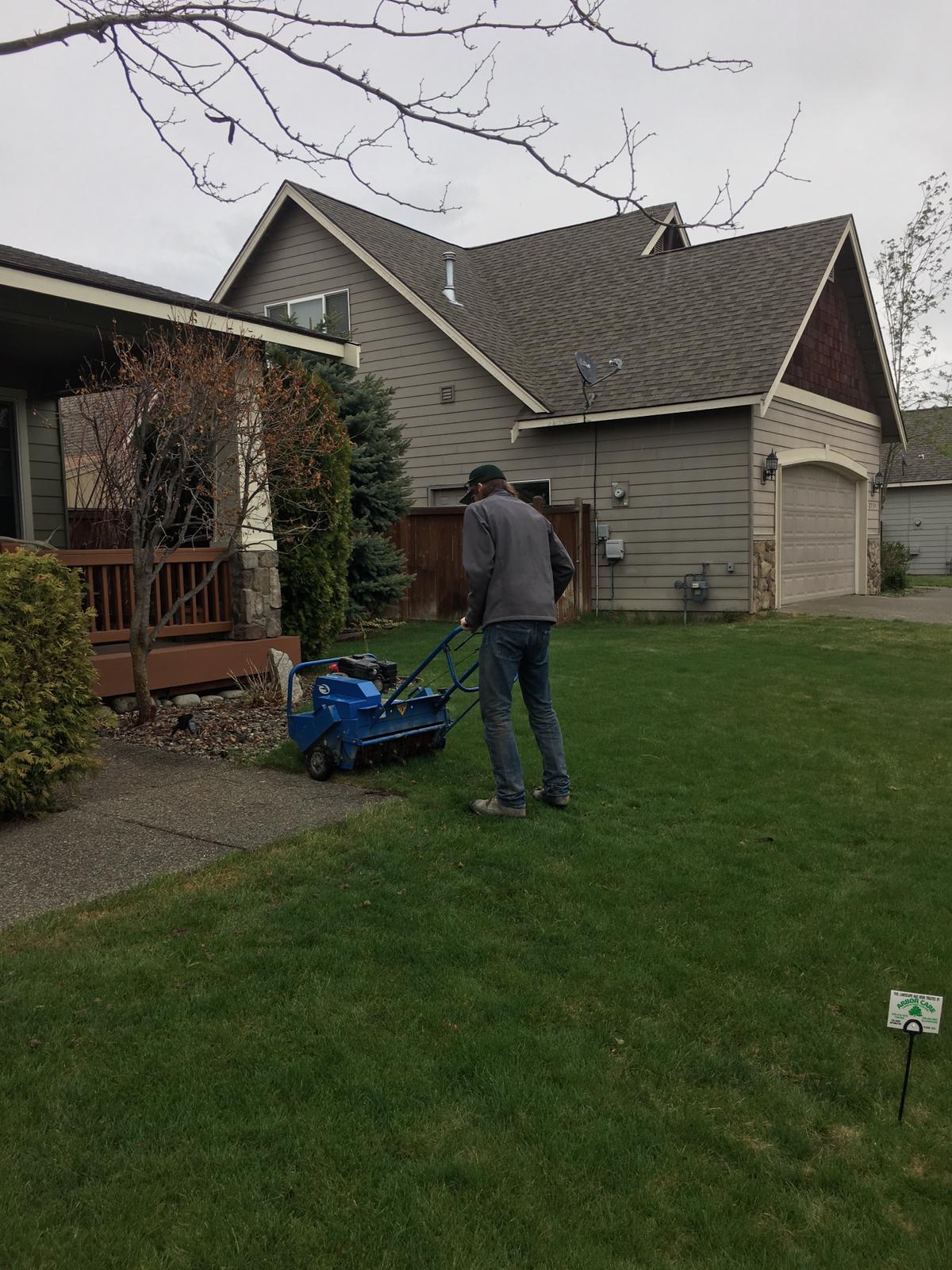 Lawn Aeration