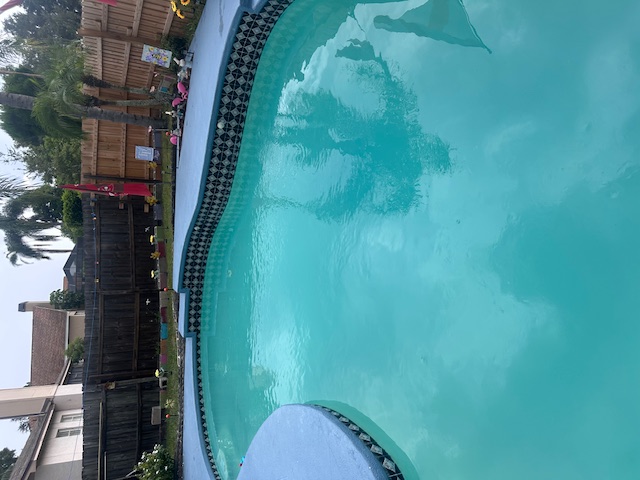 image of a landscaped pool area