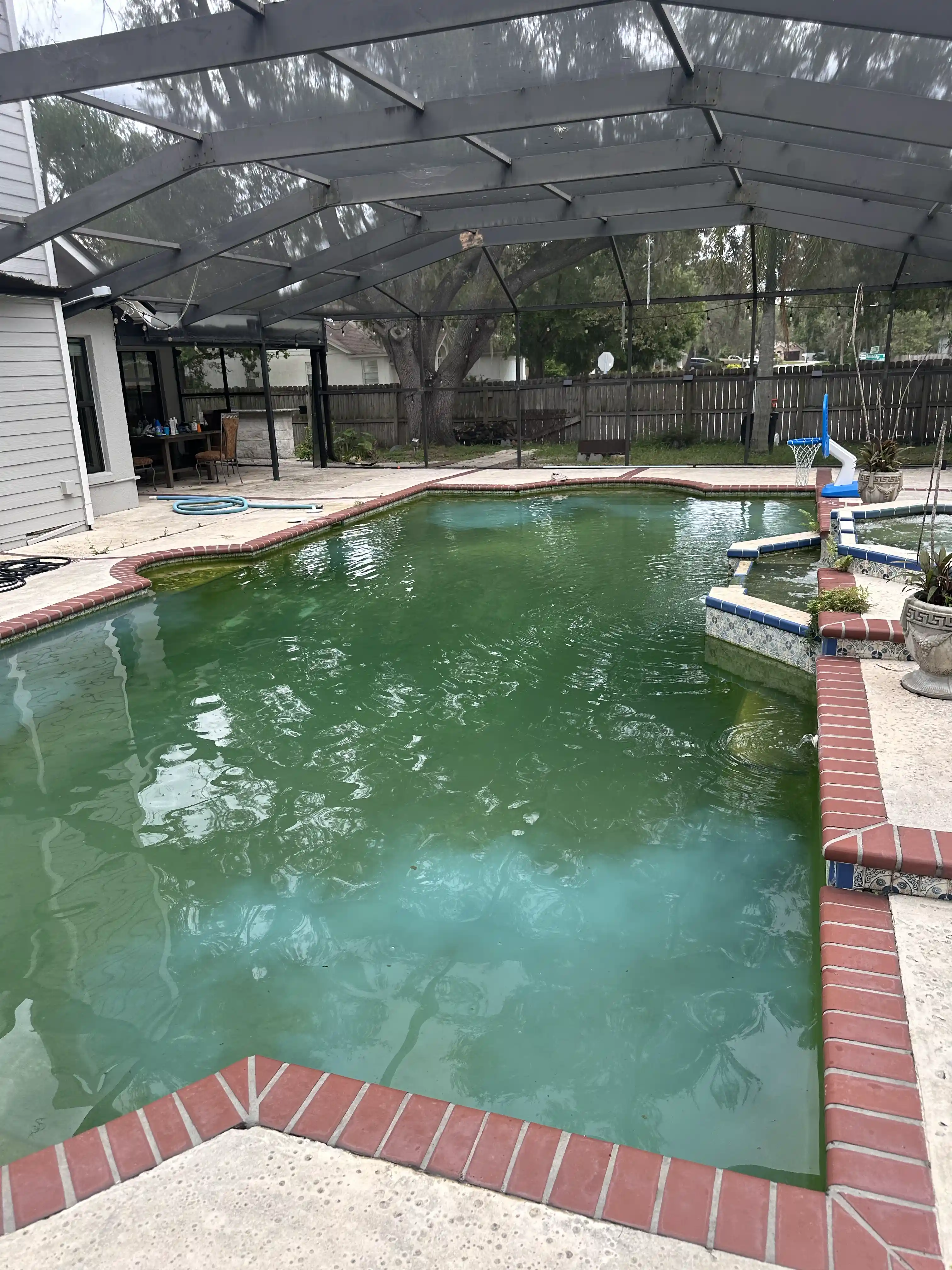 image of a landscaped pool area