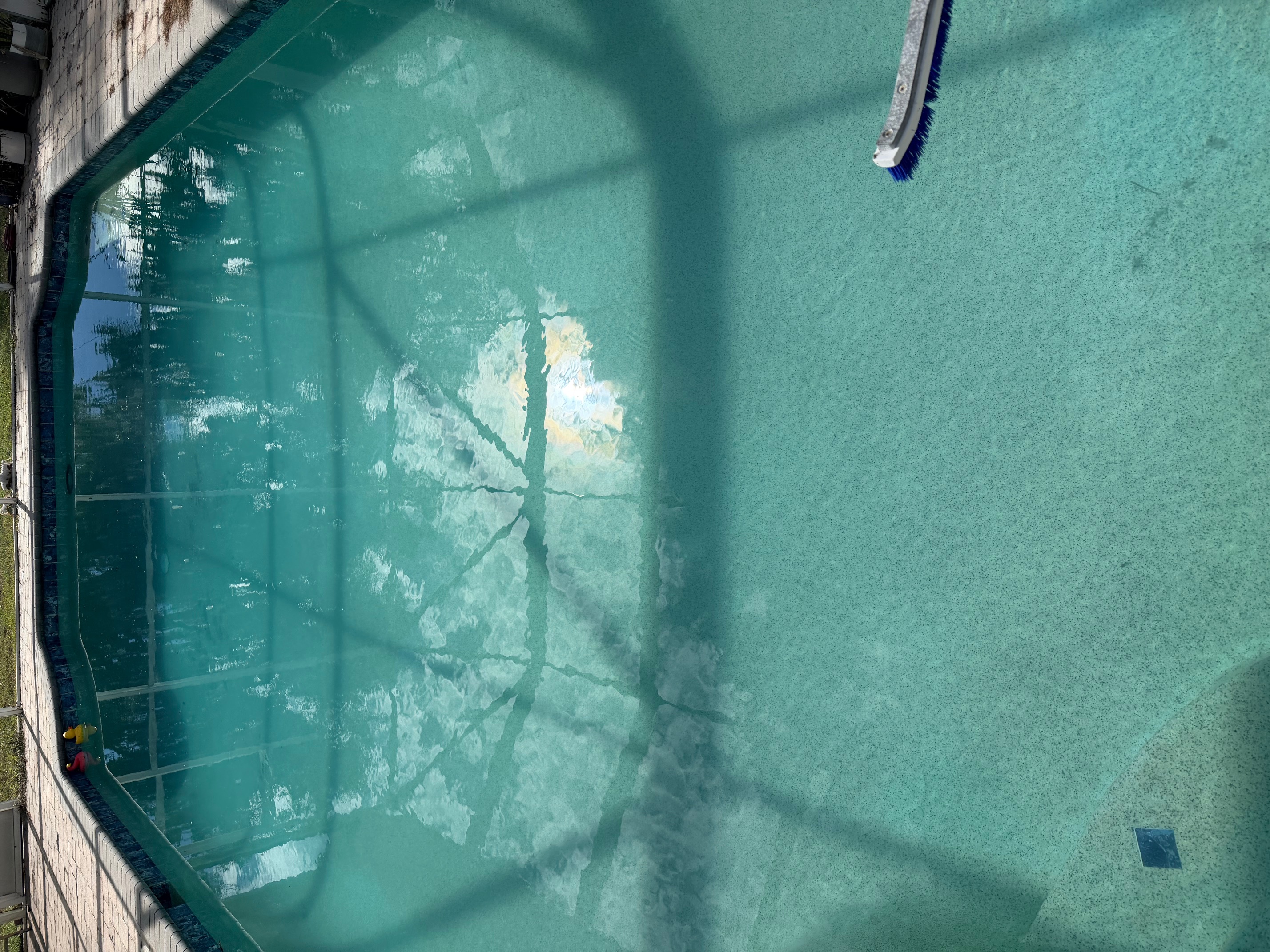 image of a landscaped pool area