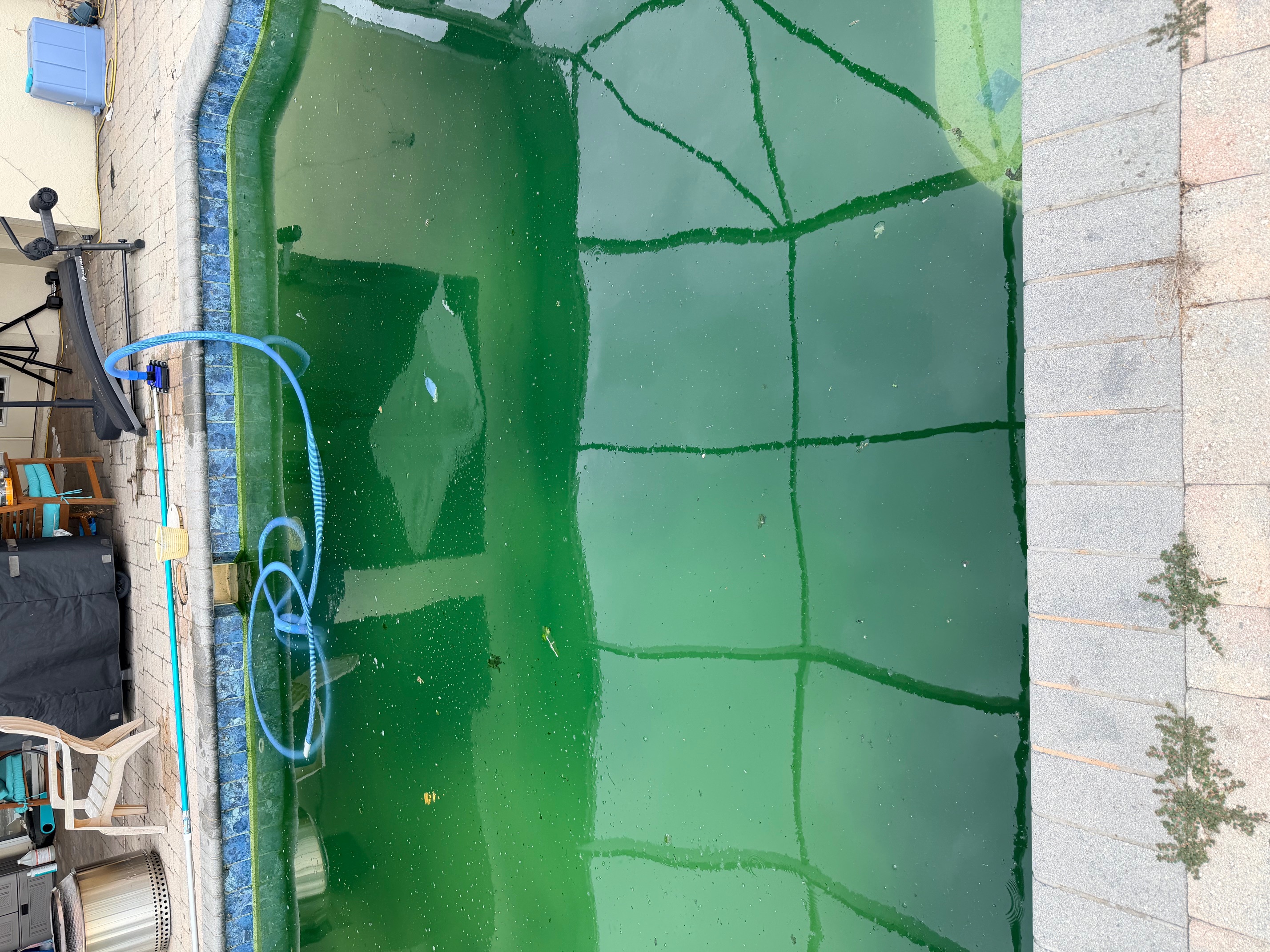 image of volunteers preparing a habitat for small animals