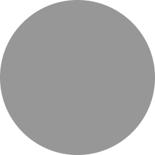Solid gray circle with no distinct features.