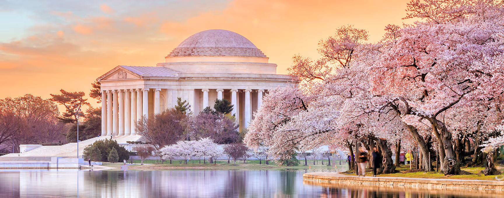 Design exit strategies to help ensure a smooth transition of ownership or leadership.