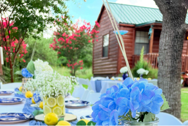 Event space in Austin cabins with tables set up in outdoor garden area