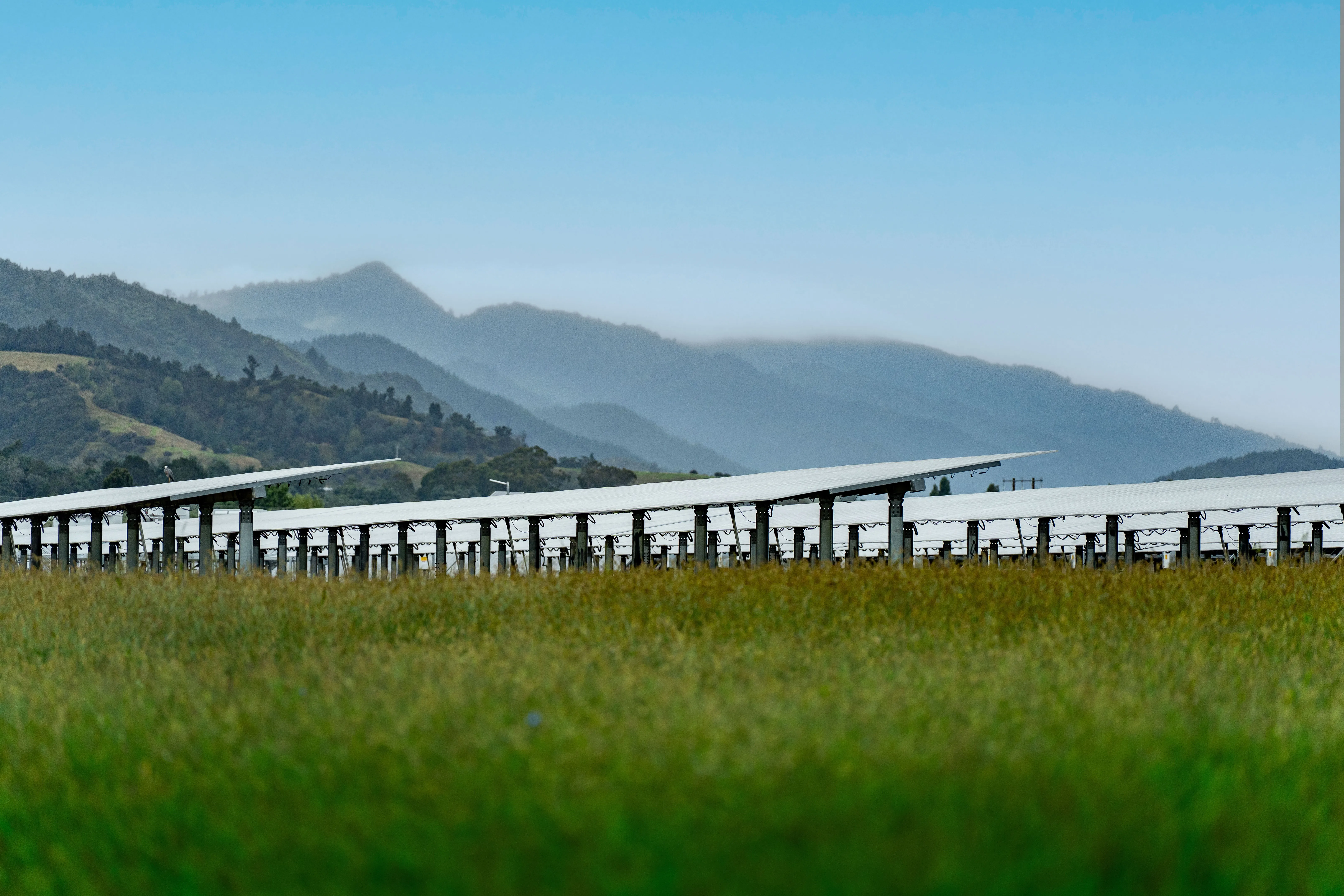 A heartfelt image that reflects our dedication to providing compassionate legal support to our clients.