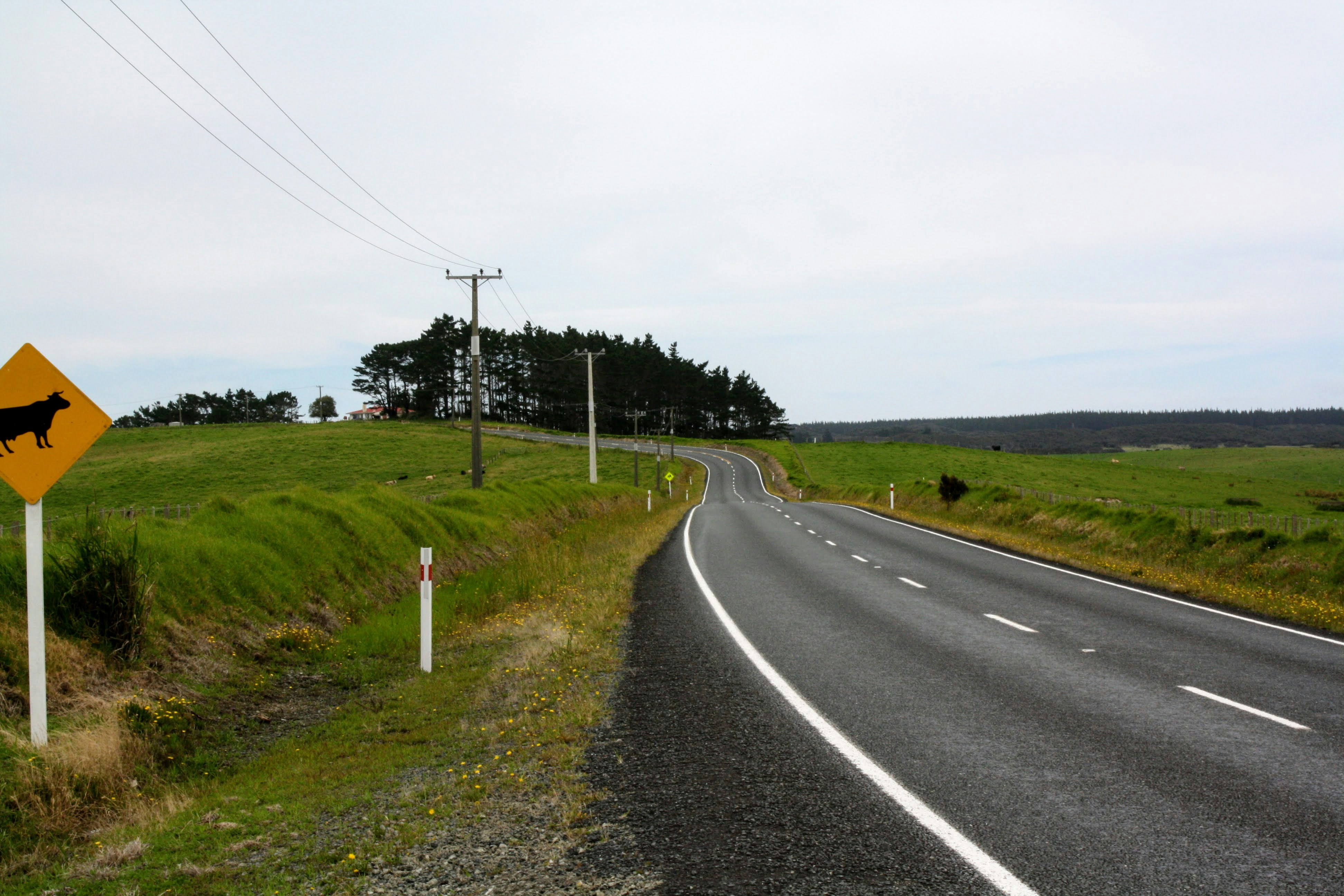 New Zealand Road