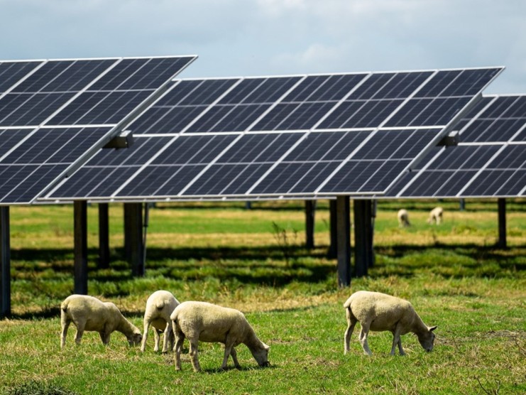 Greenwood Roche advises on landmark fast track consent for Lodestone’s Haldon Solar Farm