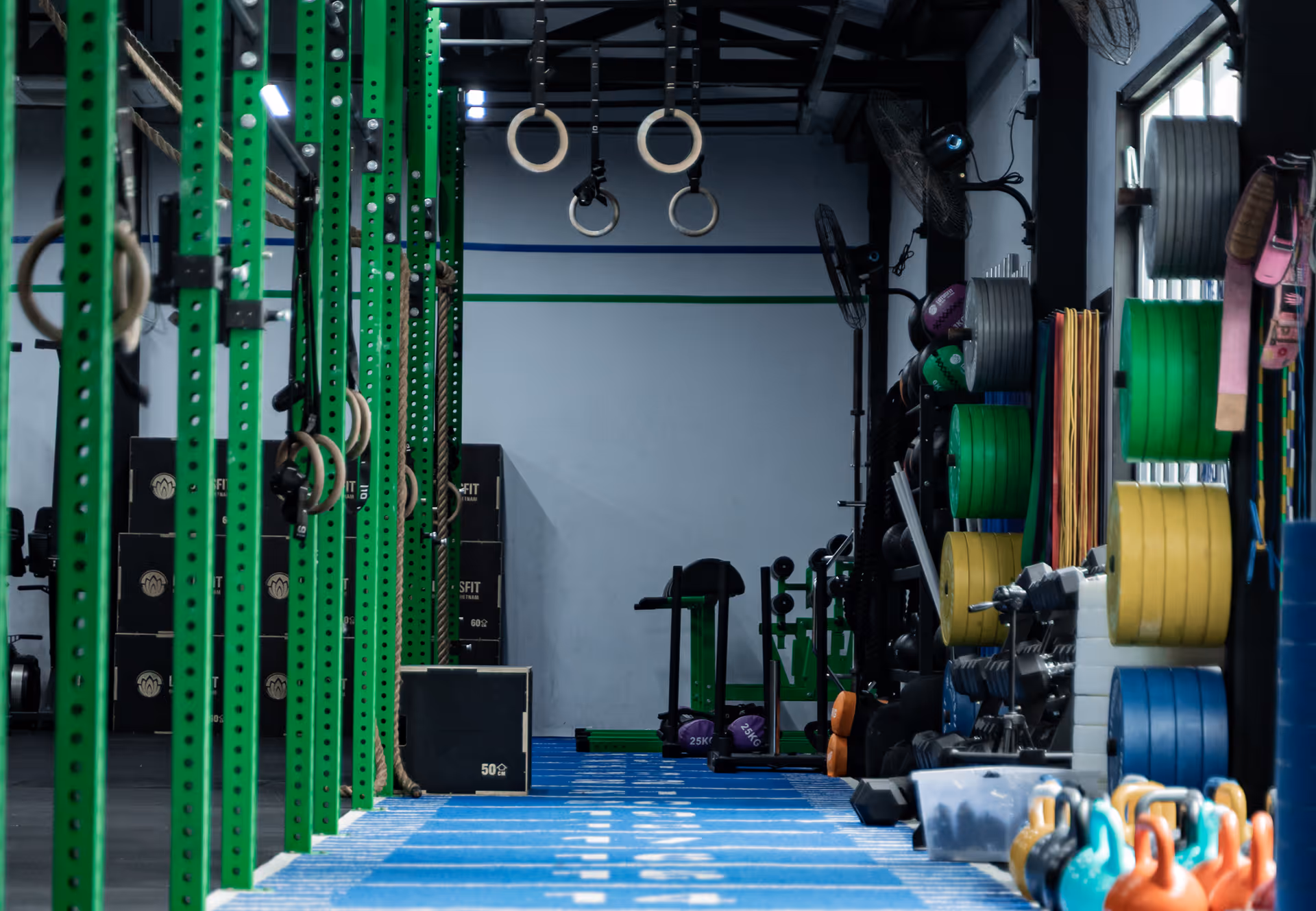 State-of-the-Art Gym Facilities