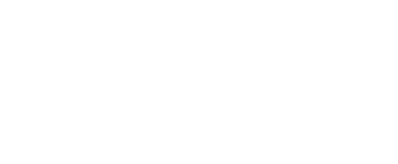 Lights Up Florida Logo White