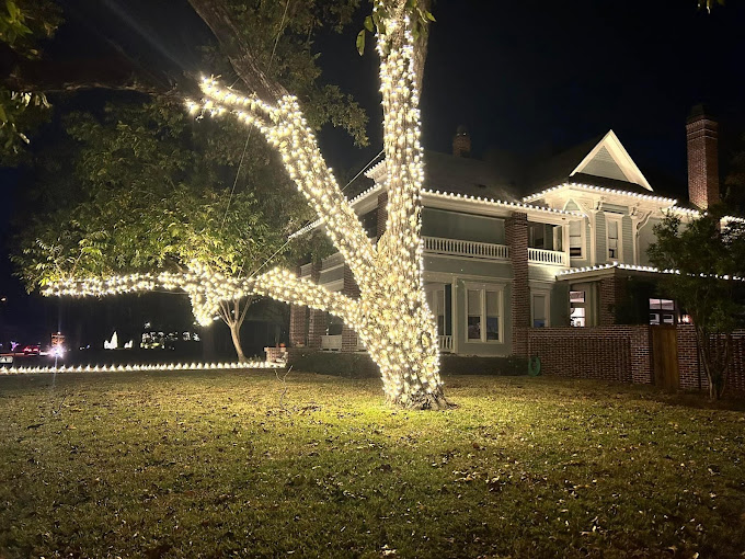 A tree decorated with Christmas lights and the house behind it.