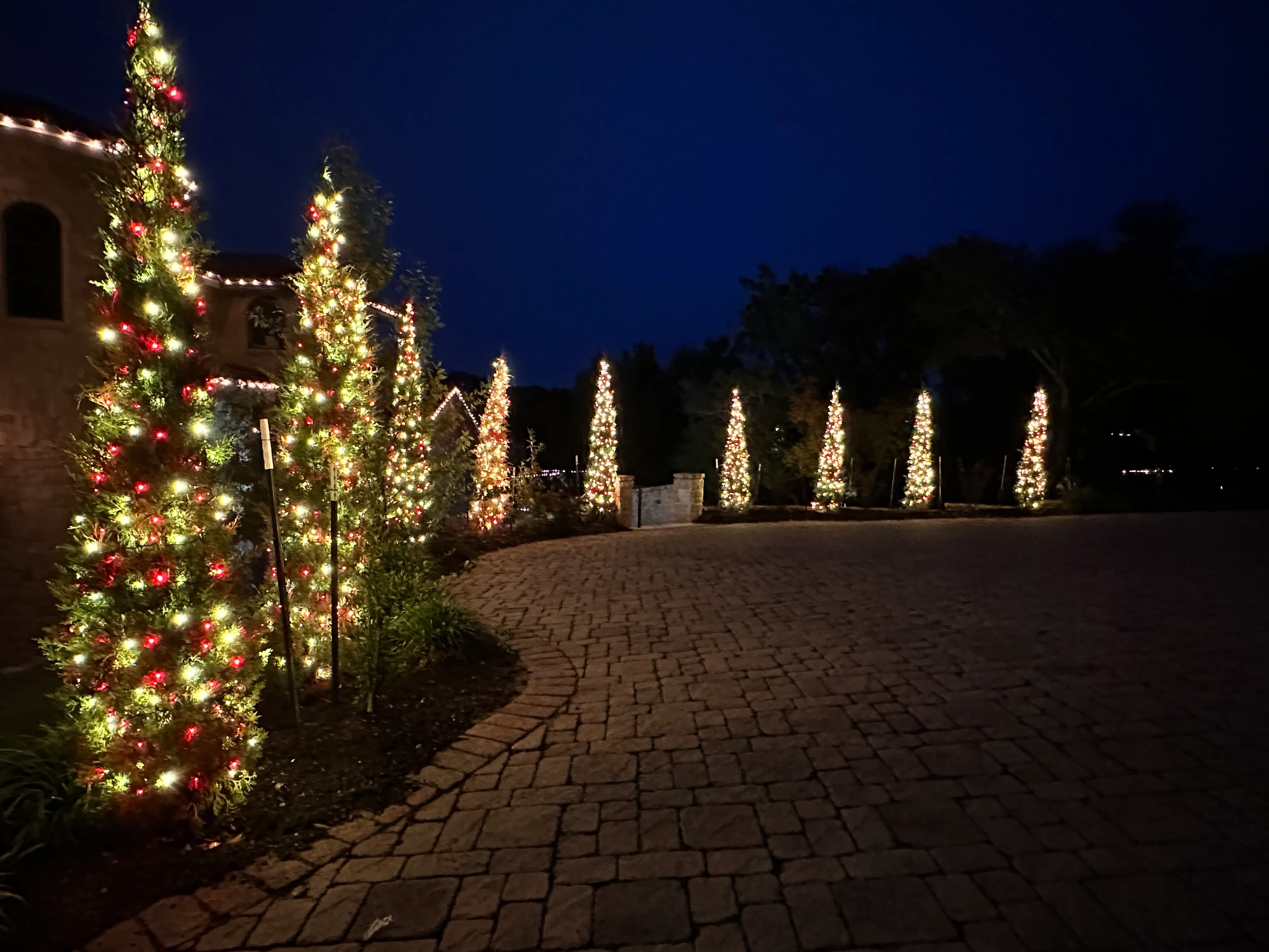 A road with decorated Christmas lights.