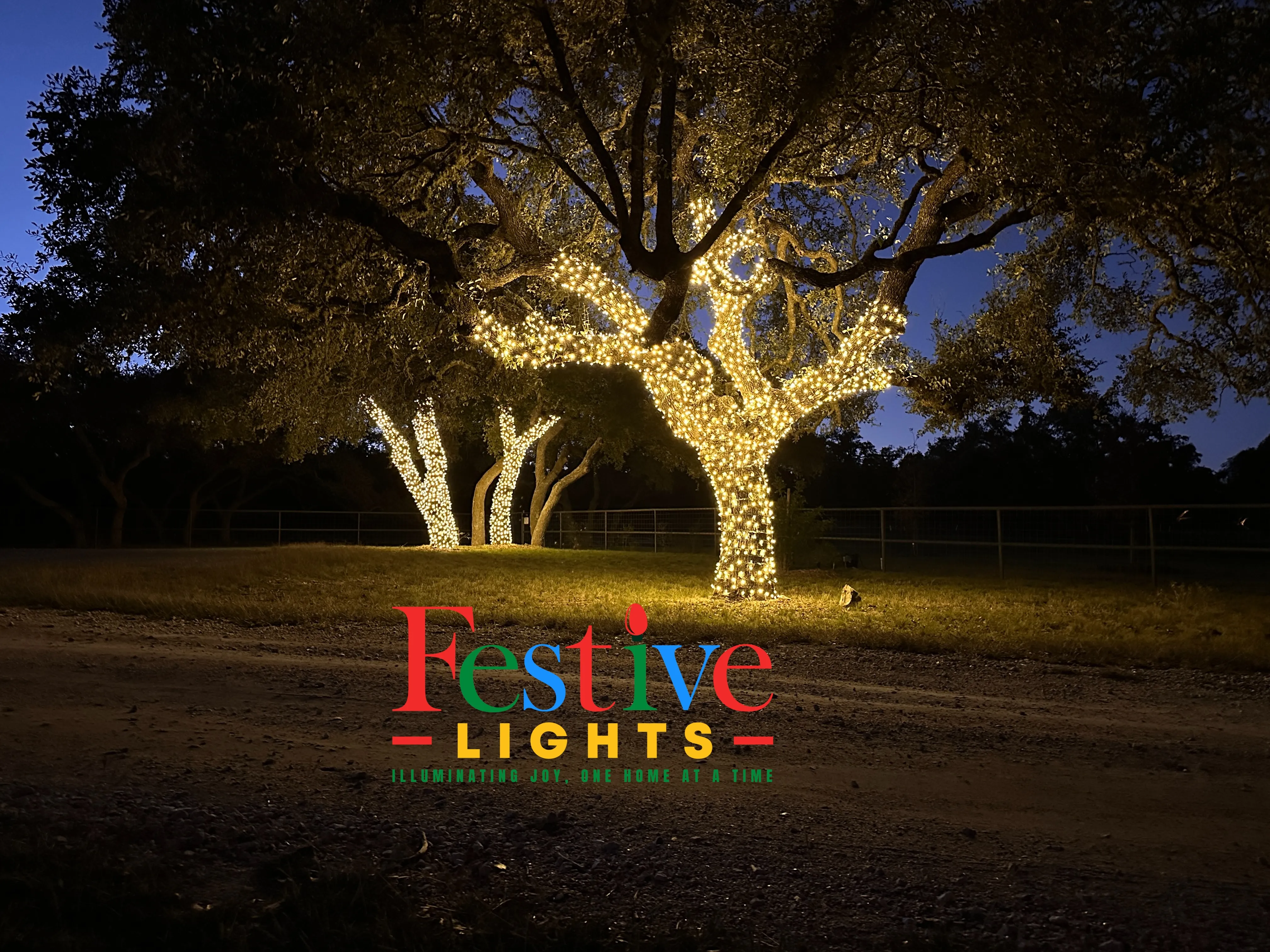 A tree with decorated Christmas lights.