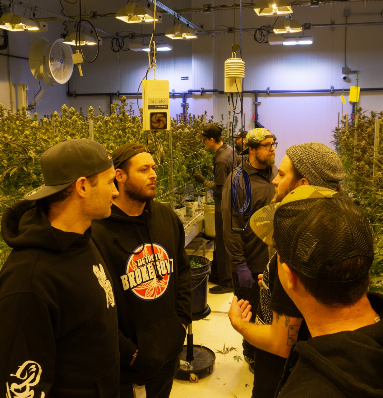 The Clout King team standing around a room filled with cannabis plants